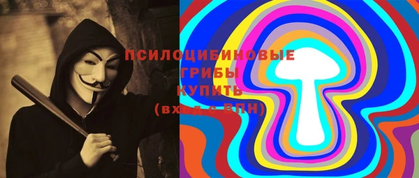 мескалин Ладушкин