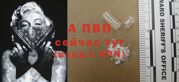 крисы Липки