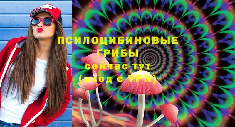 ссылка на мегу как войти  Опочка  Галлюциногенные грибы Magic Shrooms 